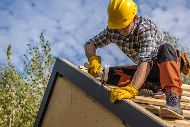 Best Chimney Flashing Repair  in Duenweg, MO